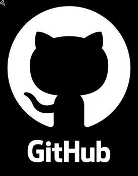 GitHub icon